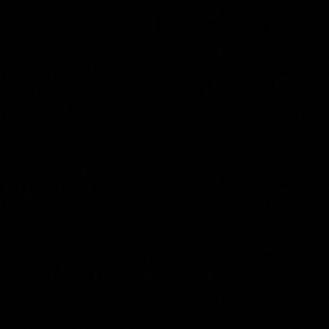 Meet your Posher, Ashlee